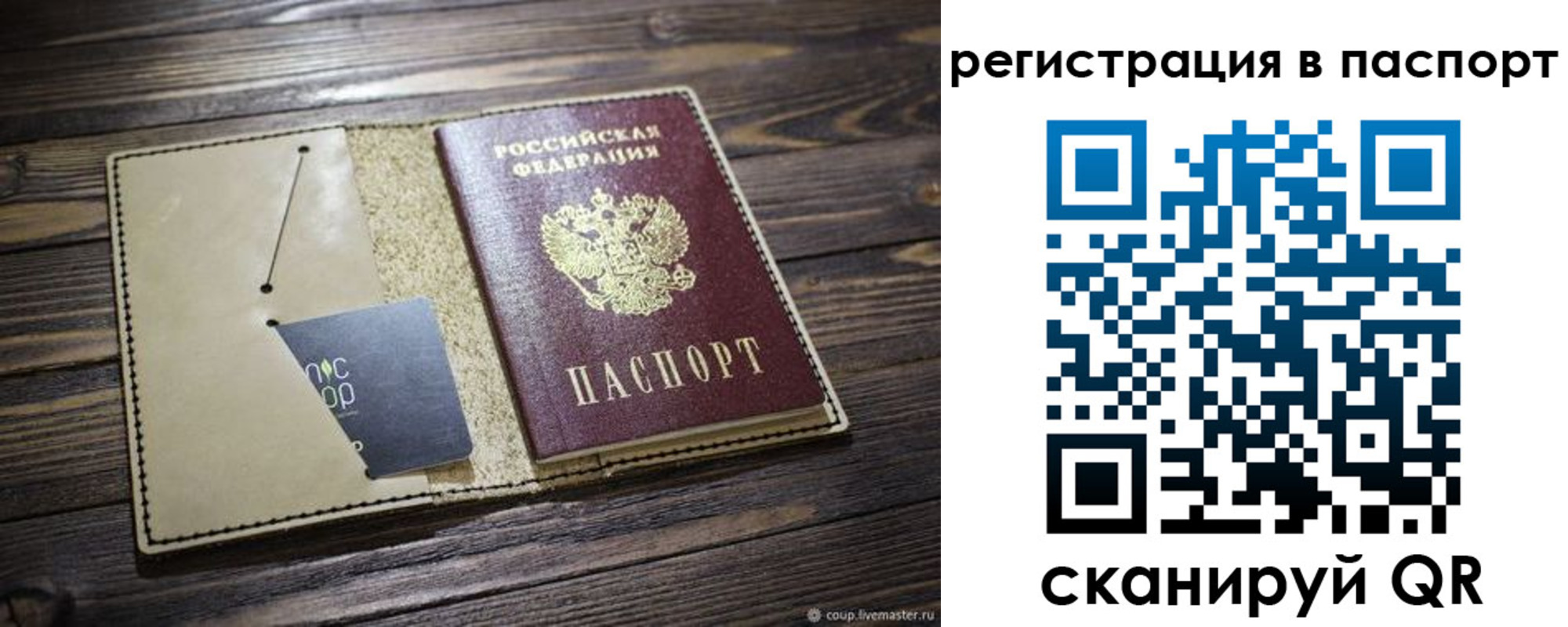 прописка для школы в Камышине