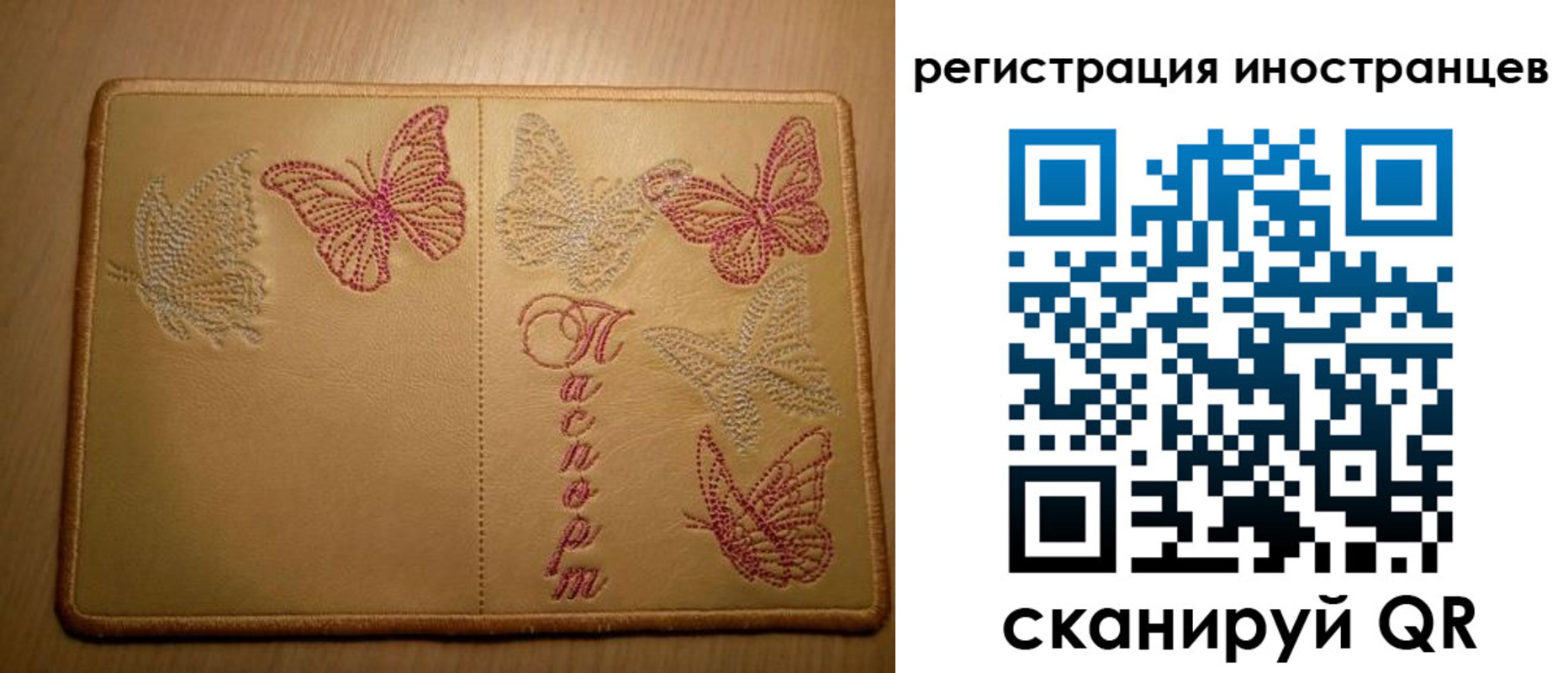 прописка для школы в Камышине